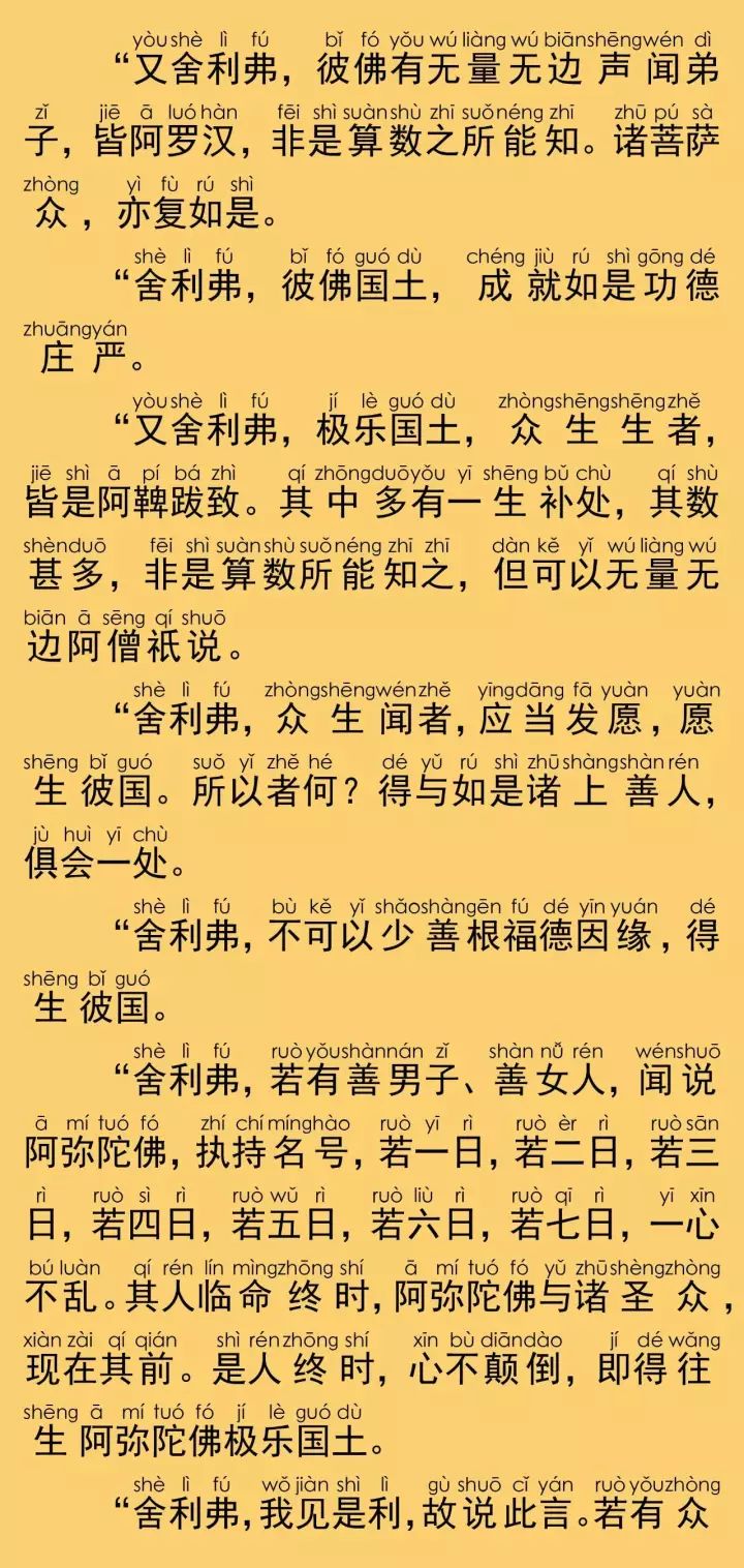 佛說阿彌陀經全文注音圖片四